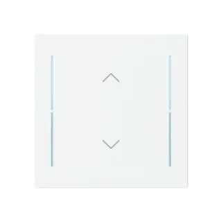 Abdeckung als Wippe 1-fach mit Symbol 