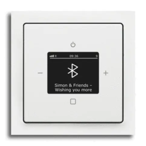 Busch-Radio BTconnect