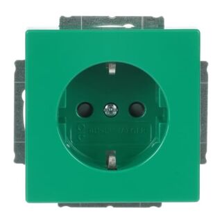 SCHUKO® Steckdosen-Einsatz mit Aufdruck, grün