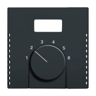 Zentralscheibe für Raumtemperaturregler, anthrazit