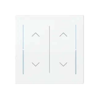 Abdeckung als Wippe 2-fach mit Symbol 