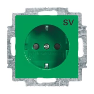 SCHUKO® Steckdosen-Einsatz mit Aufdruck, grün