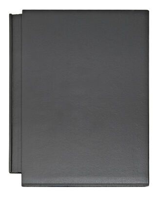 Braas Tegalit Aerlox SEIDENMT Silbergrau Edelmetallic Flächenstein 1/1 gelocht