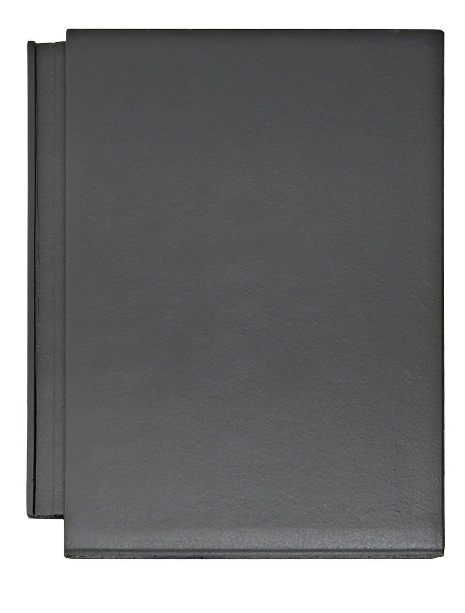 Braas Tegalit Aerlox SEIDENMT Silbergrau Edelmetallic Flächenstein 1/1(ungelocht)