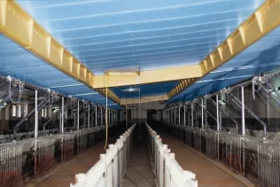 Landwirtschaft Stalldämmung