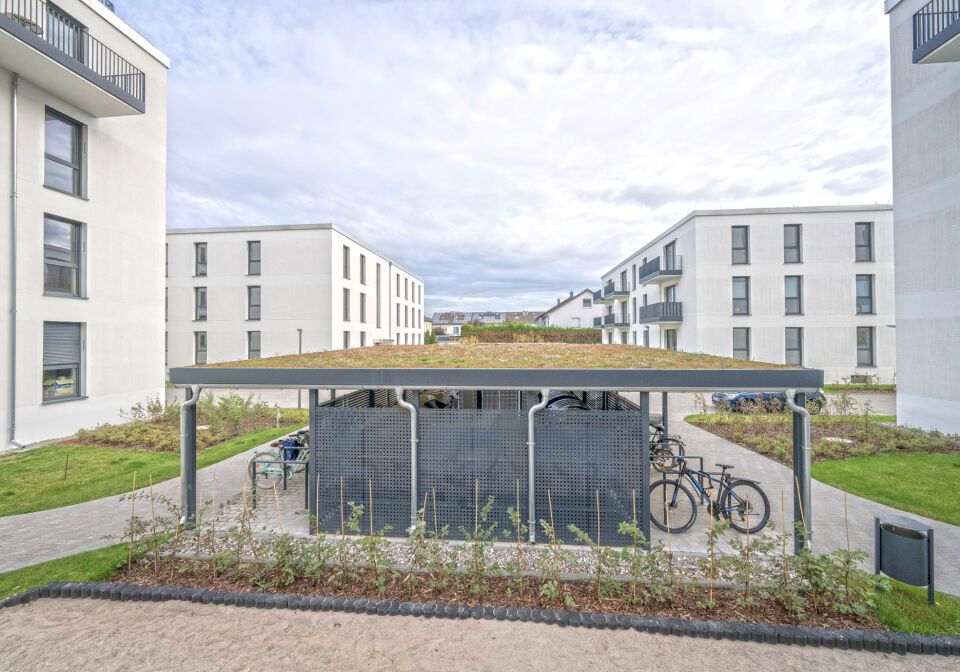 Urbanes System - Dachtyp Gründach Light
