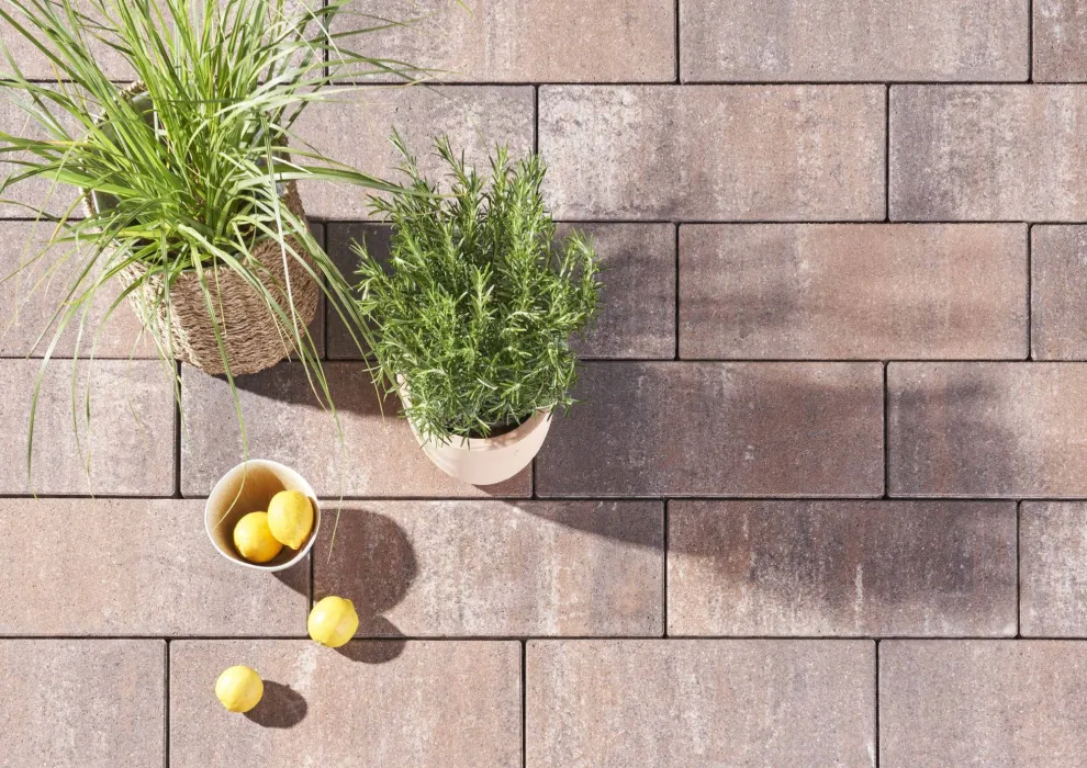 Betonpflasterstein Quadro Mocca 50 x 20 x 8 cm