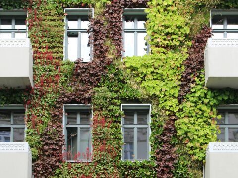 Vertikale Begrünungssysteme – leicht, smart, nachhaltig attraktiv.