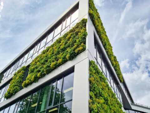 Fassadenbegrünung – vorgehängt, modular, fertig begrünt