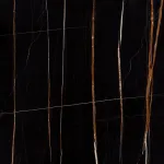 Sahara Noir