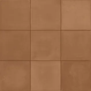 Terra