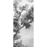 grisaille silky a rettificato
