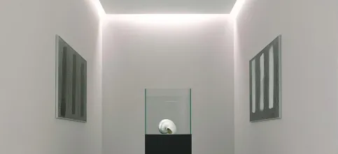 Variovlies V 200 S - Pigmentiertes Glattvlies für die hochwertige Wandgestaltung