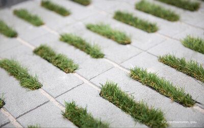 EHL CityPur Rasenstein