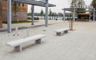 EHL Common Line Light