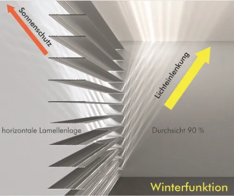 Lichteintrag im Winter