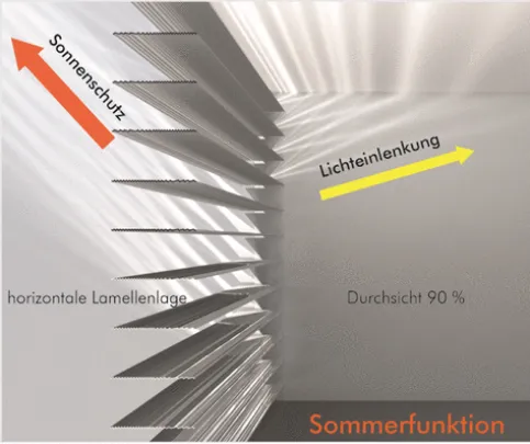Lichteintrag im Sommer