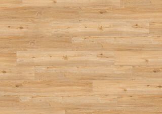 CREATION 55 LOOSELAY ACOUSTIC 229X1220 - BALLERINA