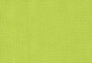 TARALAY INITIAL COMPACT - DIVERSION KIWI