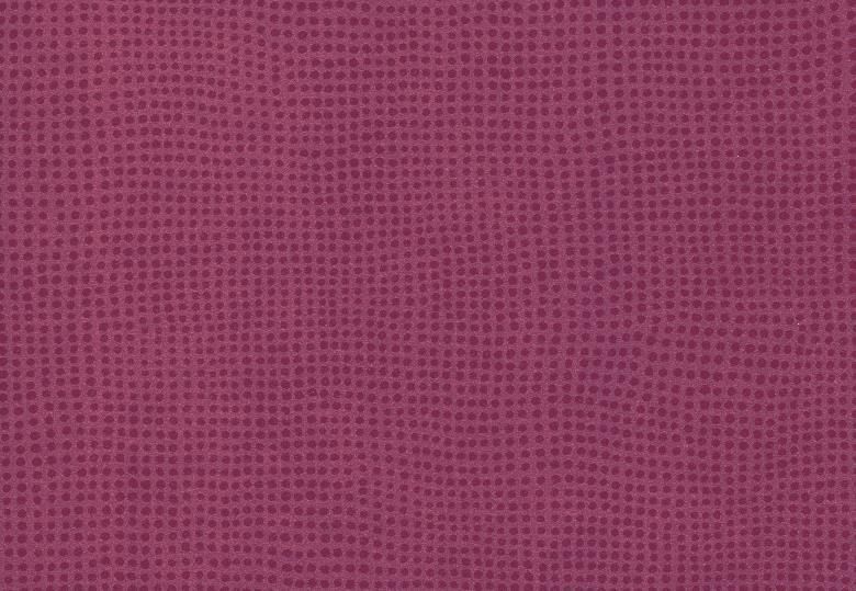 TARALAY INITIAL COMPACT - DIVERSION BORDEAUX