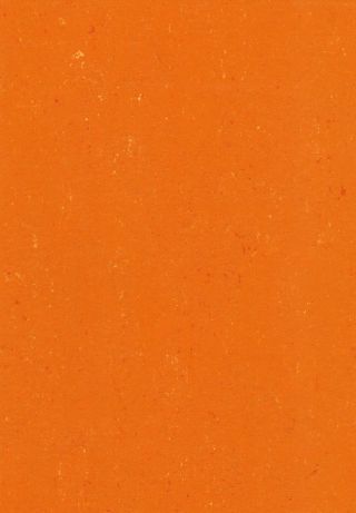 DLW COLORETTE ACOUSTIC PLUS 4.0 MM 19DB - KUMQUAT ORANGE