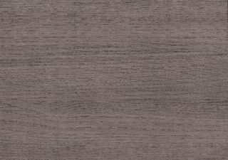 TARALAY INITIAL COMFORT 43 PRO - RENZO STEEL