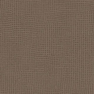 TARALAY INITIAL COMFORT 43 PRO - DIVERSION CARBONE