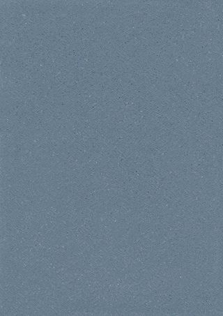 TARASAFE STANDARD 2X20 ML - BALEINE