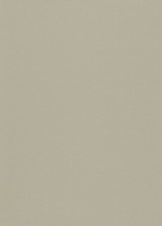 DLW UNI WALTON ACOUSTIC PLUS 4.0 MM 19DB - WARM CONCRETE GREY
