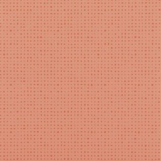 TARALAY IMPRESSION COMPACT - KUBES CORAIL
