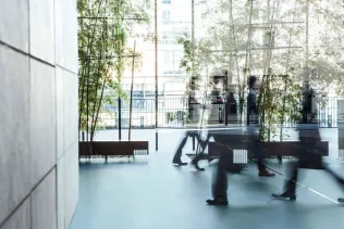 Homogener Objektbodenbelag MIPOLAM SYMBIOZ™ NOVA