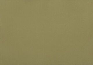 DLW UNI WALTON ACOUSTIC PLUS 4.0 MM 19DB - OLIVE