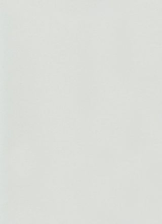 DLW UNI WALTON 2.5 MM - FROST GREY