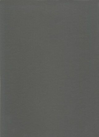 DLW UNI WALTON ACOUSTIC PLUS 4.0 MM 19DB - ARCHITECTS GREY