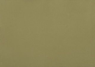 DLW UNI WALTON 2.5 MM - OLIVE