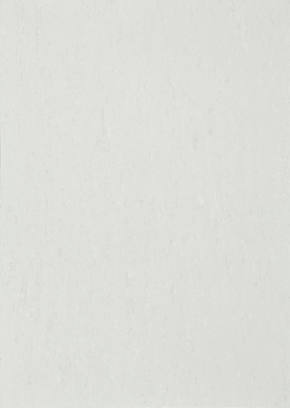 MIPOLAM EVO 2X20ML - Bahnen