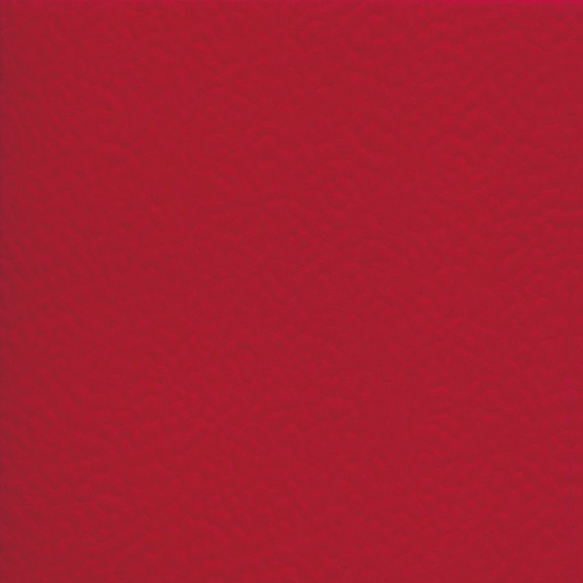 RECREATION 45 UNI 20.5 ML - ROJA