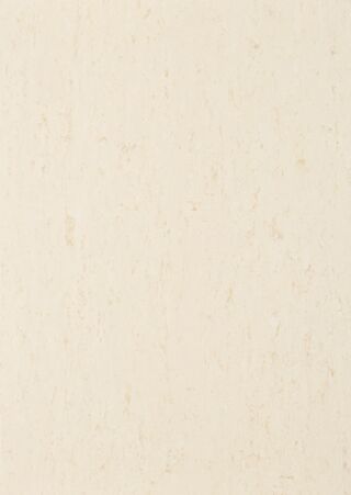 MIPOLAM EVO 2X20ML - VISBY