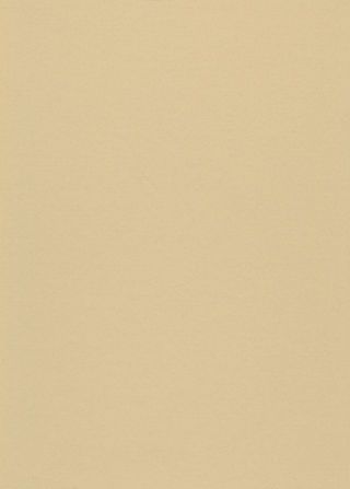 DLW UNI WALTON 2.5 MM - NEUTRAL BEIGE