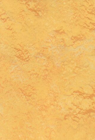 DLW LINODUR SPORT NEOCARE - STRAW YELLOW
