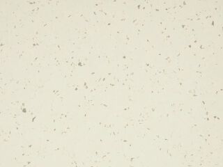 MIPOLAM BIOPLANET 2X20ML - IVORY DUST