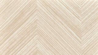 MURAL CALYPSO 2X30ML - ARTY BEIGE