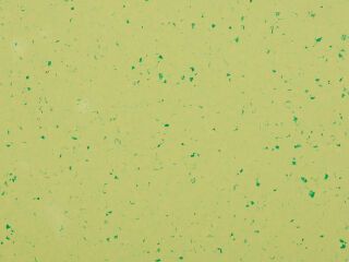 MIPOLAM BIOPLANET 2X20ML - GREEN ZEST