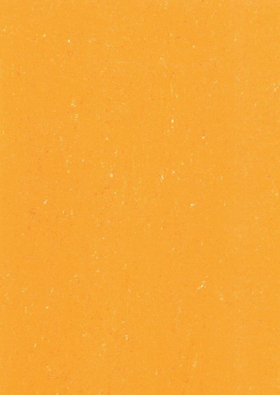 DLW COLORETTE SPORT NEOCARE - Bahnen