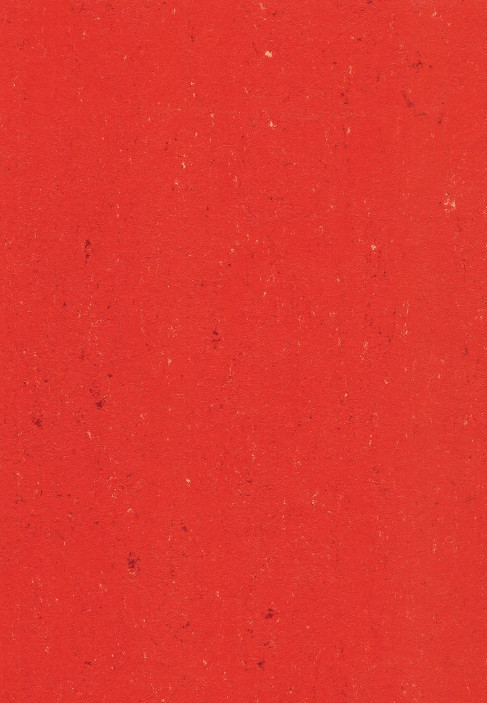 DLW COLORETTE SPORT NEOCARE - Bahnen