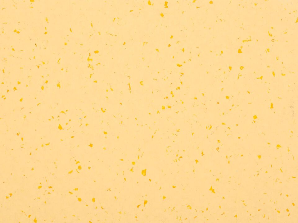 MIPOLAM BIOPLANET 2X20ML - Bahnen