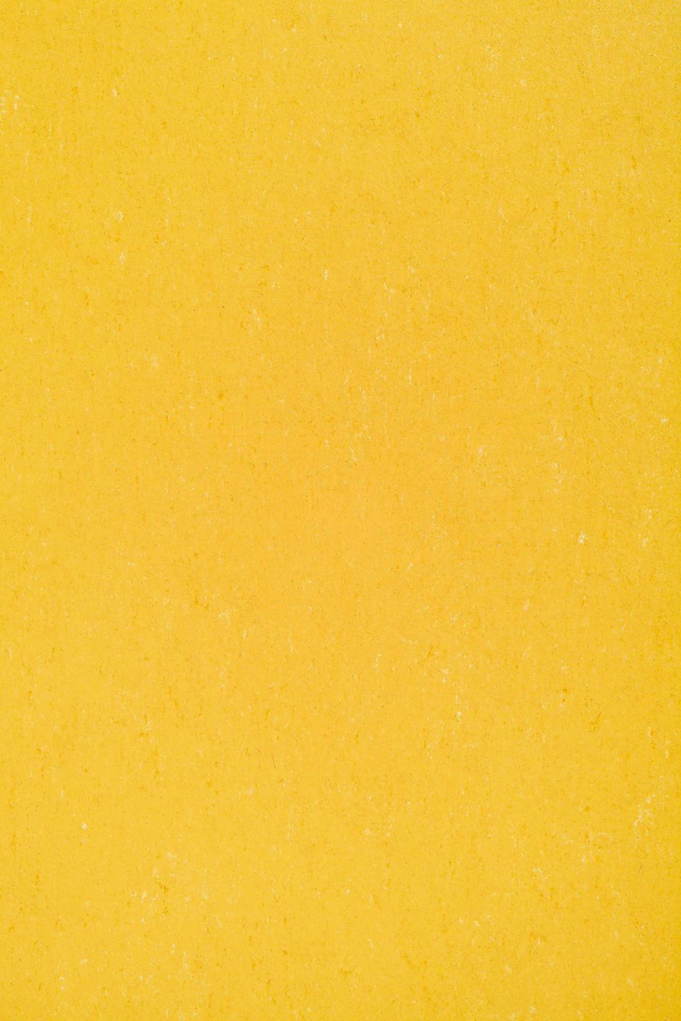 DLW COLORETTE SPORT NEOCARE - Bahnen