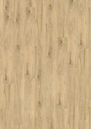 CREATION 55 DESIGN EIR 184X1219 - Planken