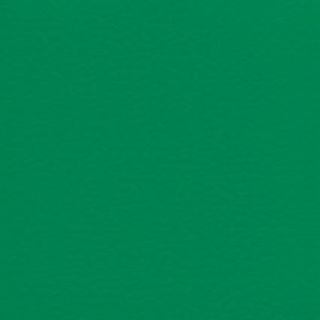 TARAFLEX® EVOLUTION - MINT GREEN