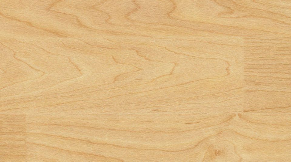 TARAFLEX PERFORMANCE WOOD 20.50 ML - Bahnen